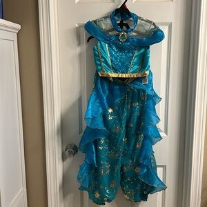 Jasmine Costume - Size 7/8